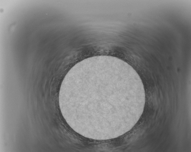 X0000061110769200512091816