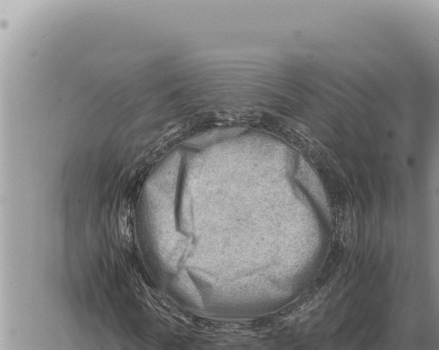 X0000061110770200512091816