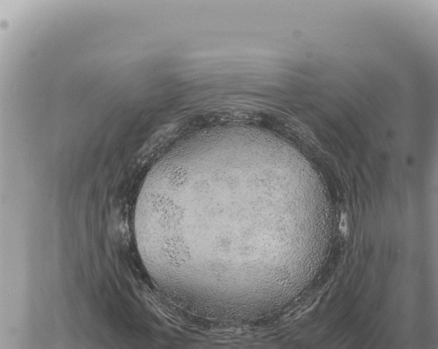 X0000061110771200512091816