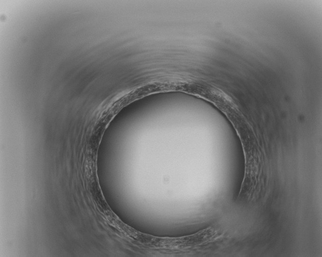 X0000061110773200512091816