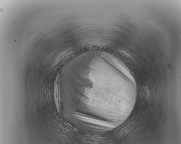 X0000061110774200512091816