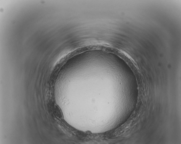 X0000061110775200512091816