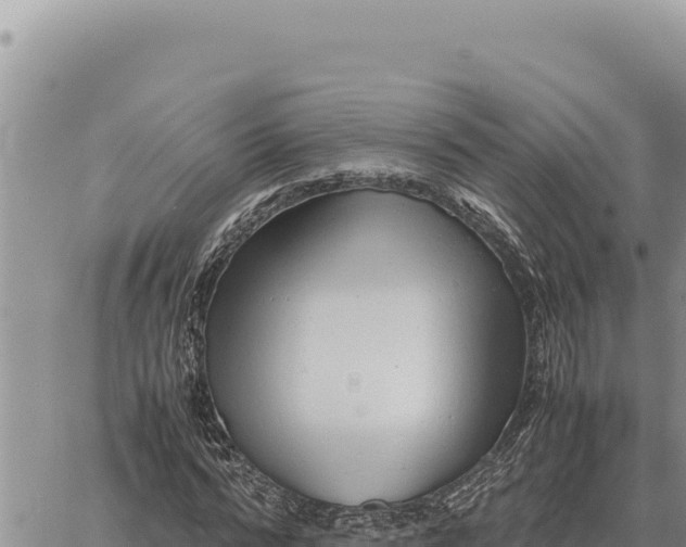 X0000061110776200512091816