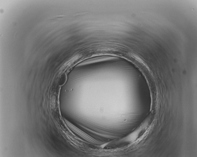 X0000061110777200512091816