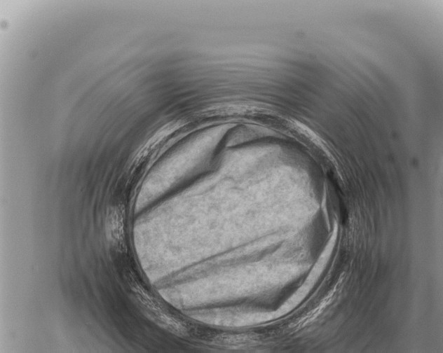 X0000061110778200512091816