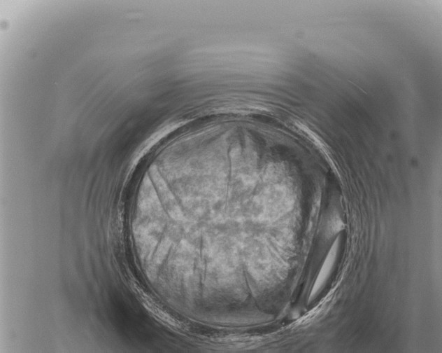 X0000061110779200512091816