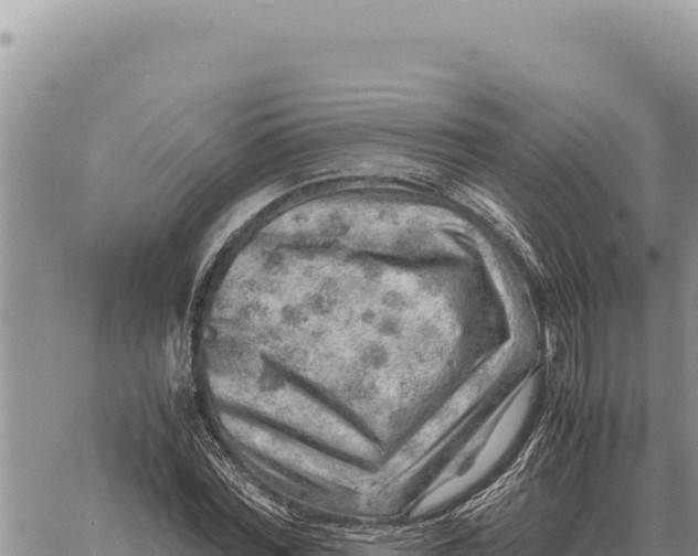 X0000061110780200512091816