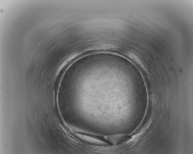 X0000061110781200512091816