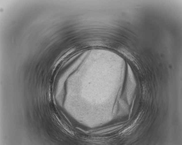 X0000061110782200512091816