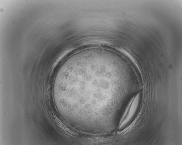 X0000061110783200512091816