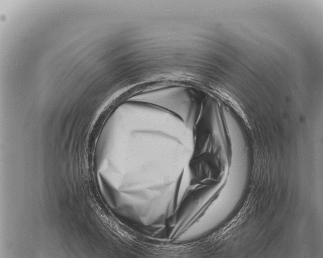 X0000061110784200512091816