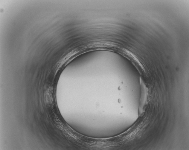 X0000061110786200512091816