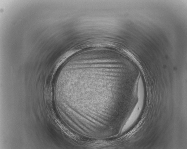 X0000061110787200512091816