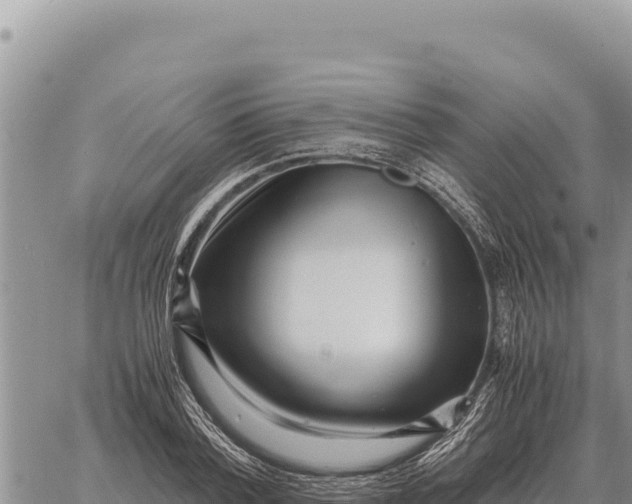 X0000061110788200512091816