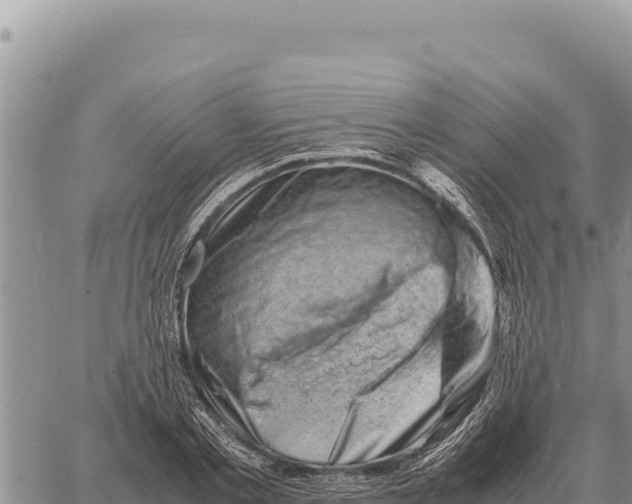 X0000061110789200512091816