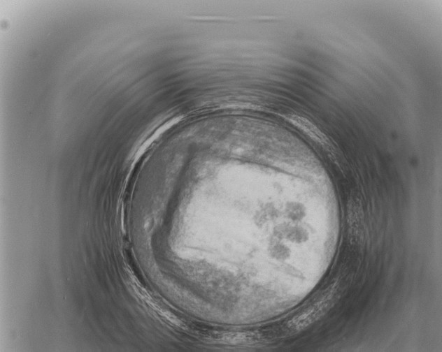 X0000061110790200512091816