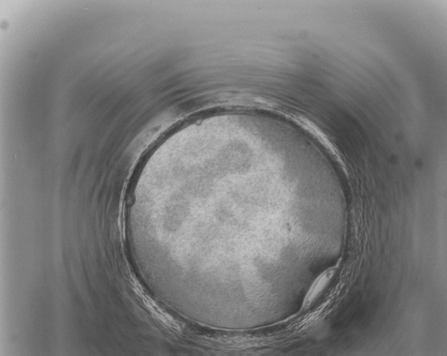 X0000061110791200512091816