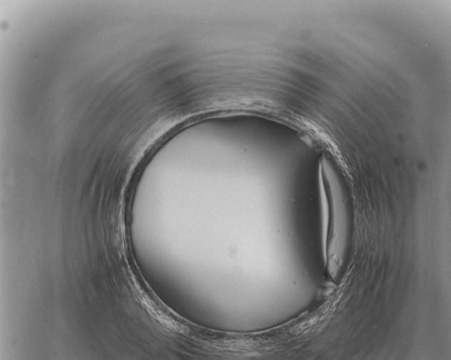 X0000061110792200512091816