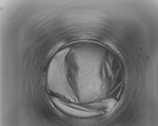 X0000061110793200512091816