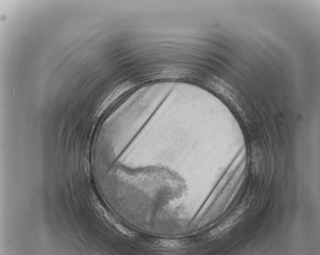 X0000061110794200512091816