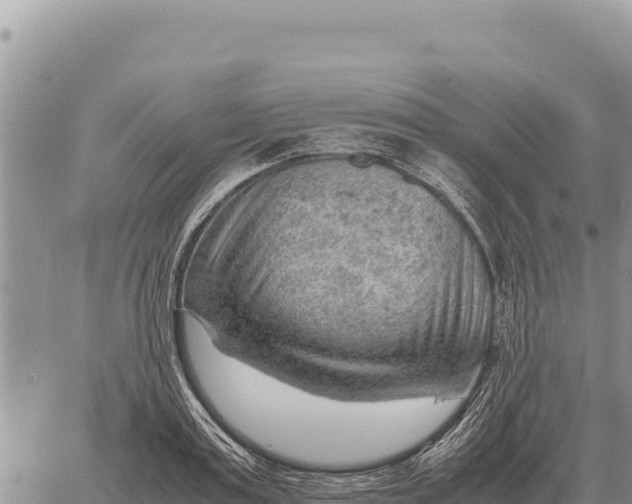 X0000061110795200512091816