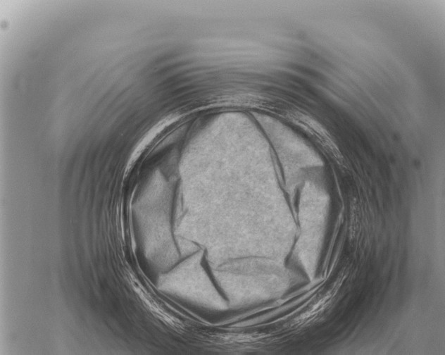 X0000061110796200512091816