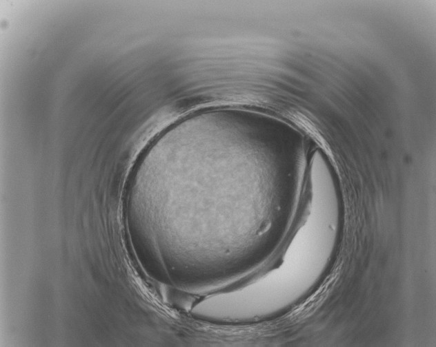 X0000061110797200512091816