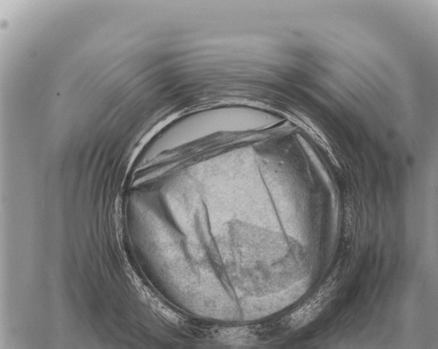 X0000061110798200512091816