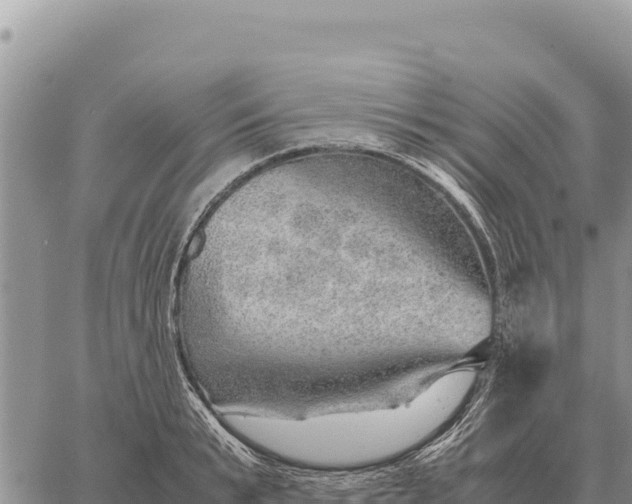 X0000061110799200512091816