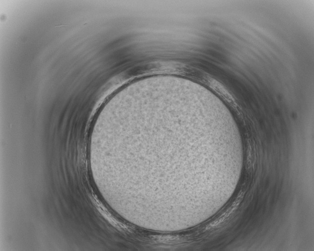 X0000061110800200512091816