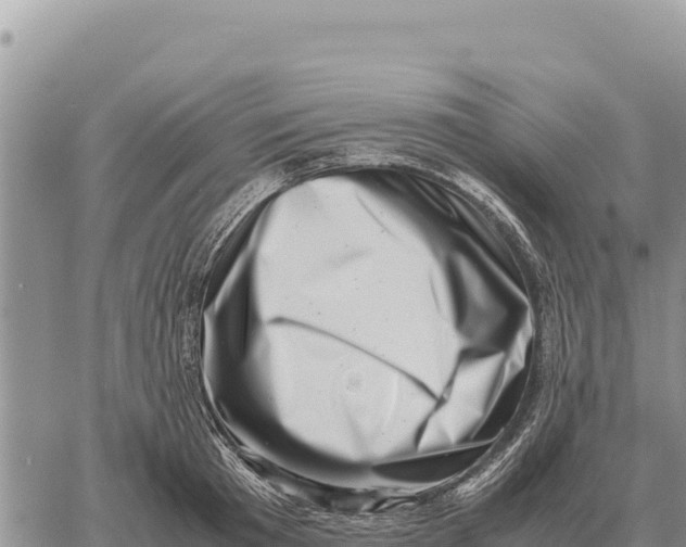 X0000061110801200512091816