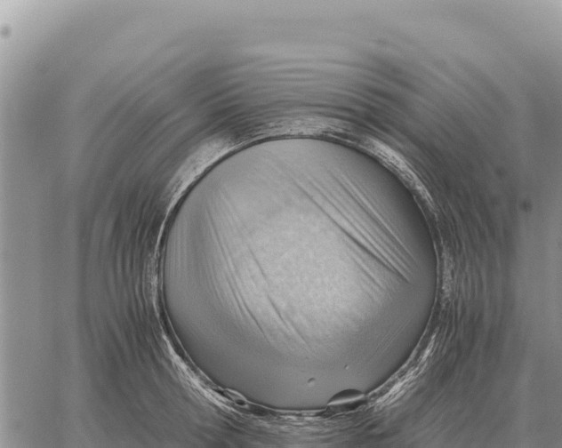 X0000061110802200512091816