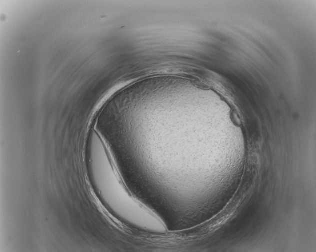 X0000061110803200512091816