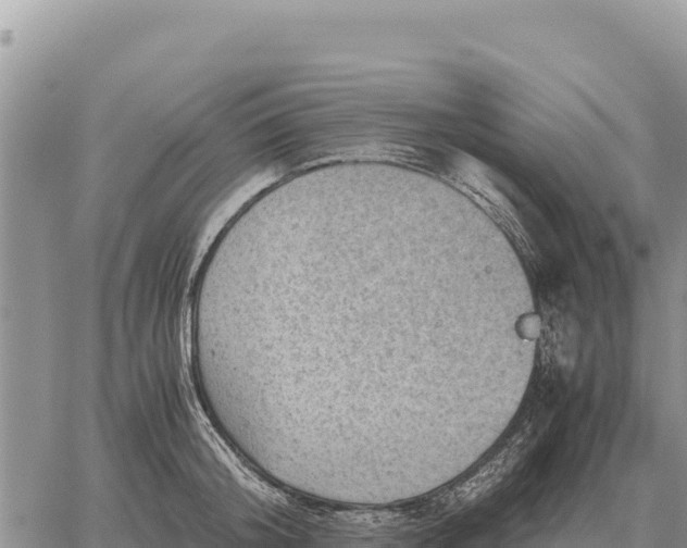 X0000061110804200512091816