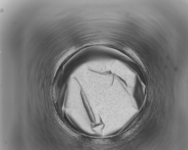 X0000061110805200512091816