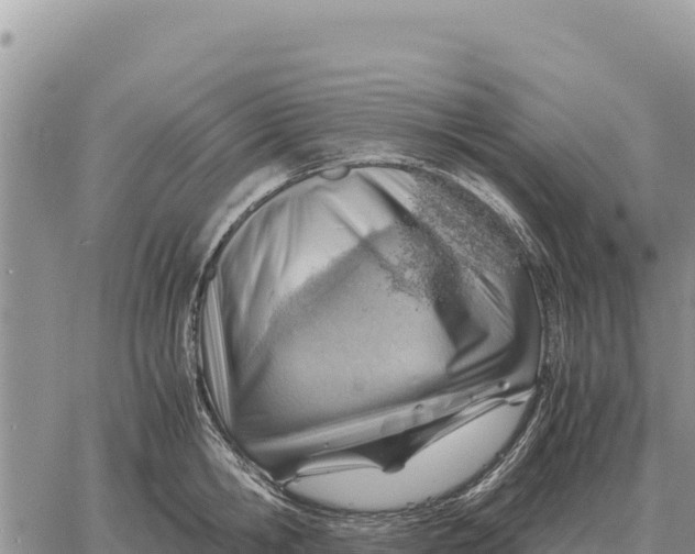 X0000061110806200512091815