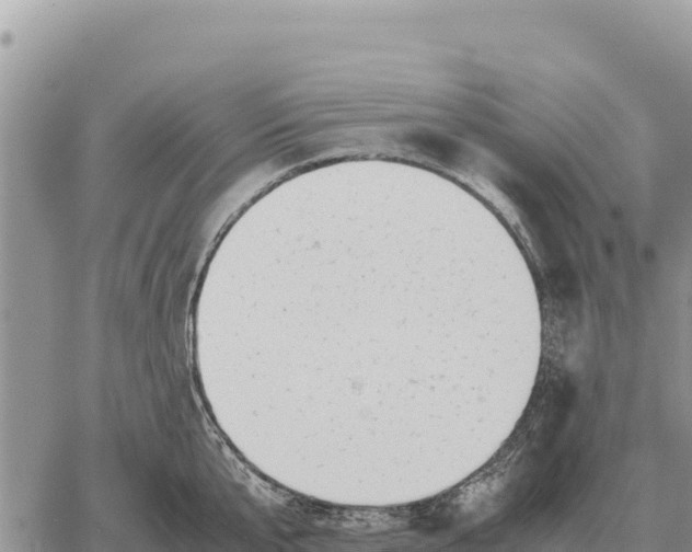 X0000061110807200512091815