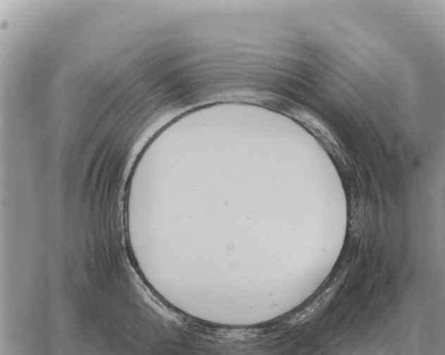 X0000061110808200512091815