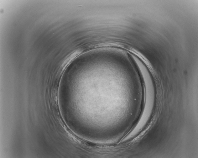 X0000061110809200512091815