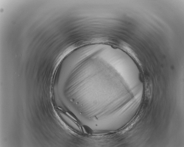 X0000061110810200512091815