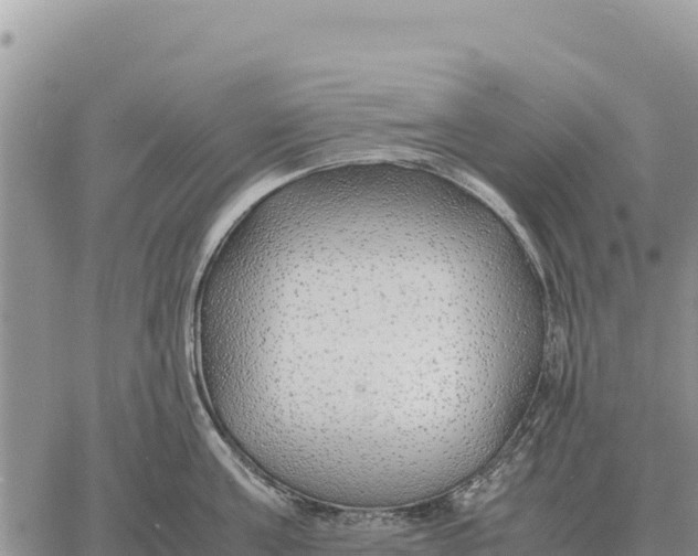 X0000061110811200512091815