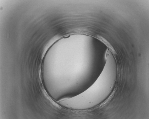 X0000061110812200512091815