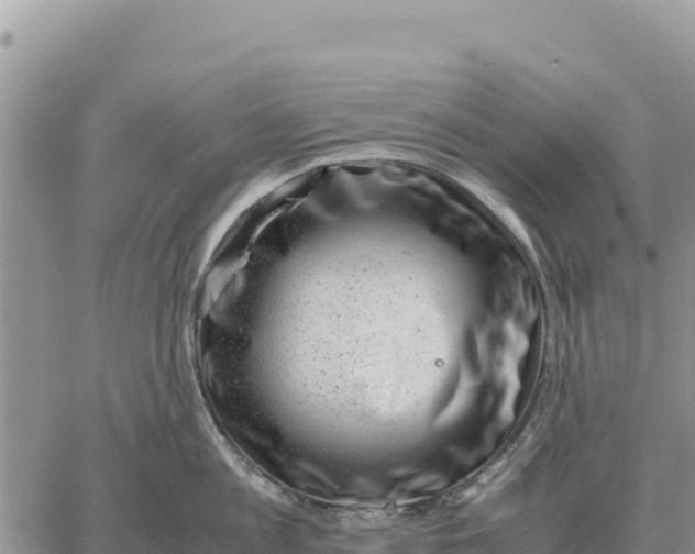 X0000061110813200512091815