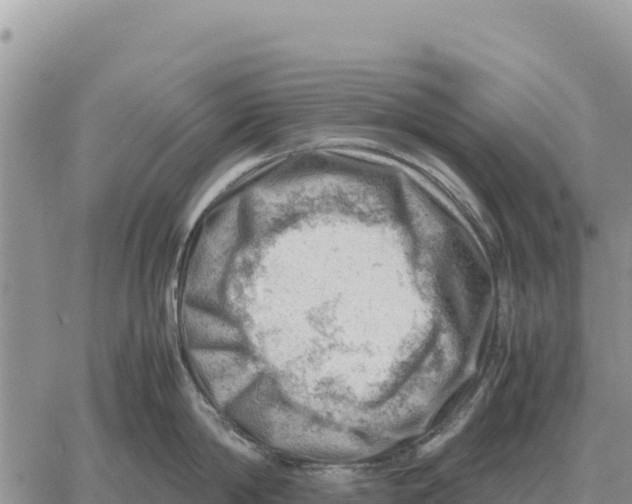 X0000061110814200512091815