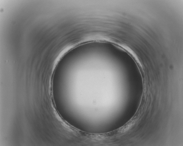 X0000061110815200512091815