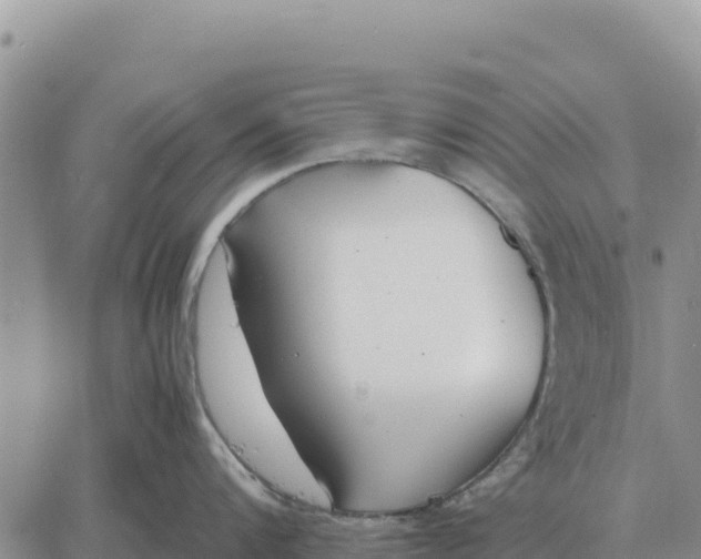 X0000061110816200512091815