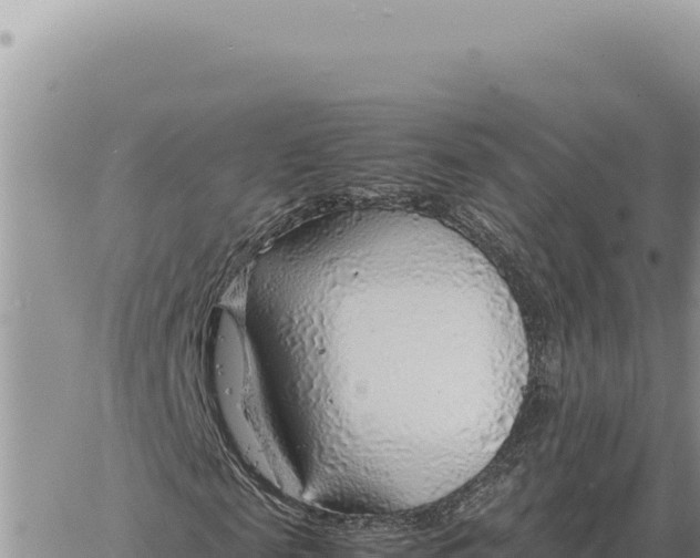 X0000061110817200512091815