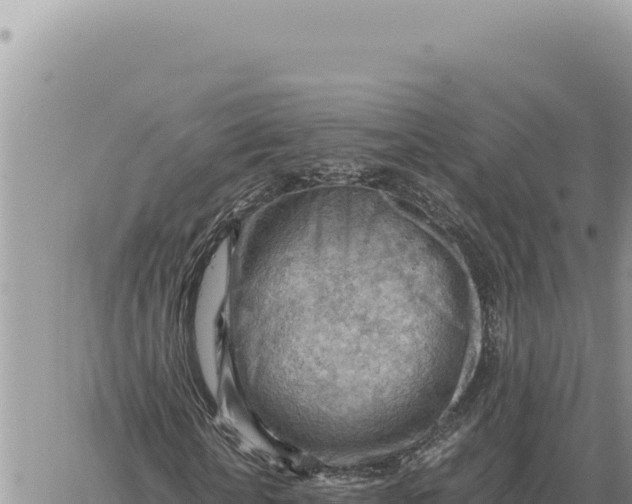 X0000061110818200512091815