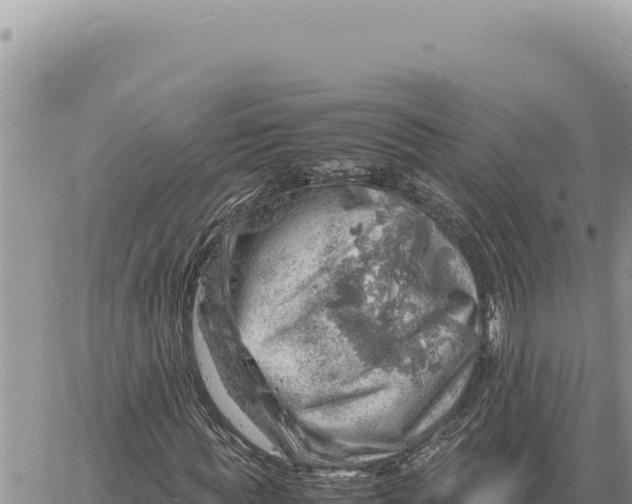 X0000061110819200512091815