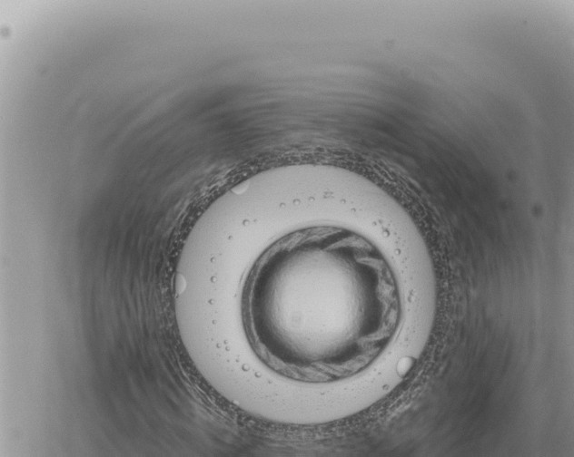 X0000061110820200512091815